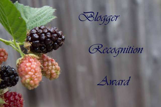 BloggerRecognitionAward
