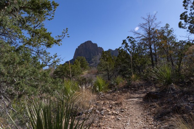 Chisos Mountain trail view
