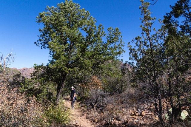 Chisos Montain trail view