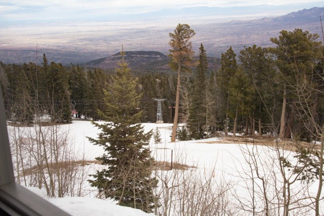 View of evergreen trees, snow, valley below