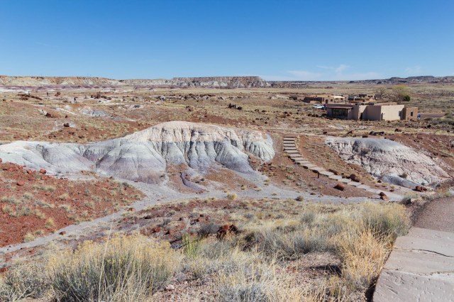 Desert landscape with building in background