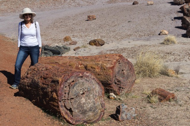 Woman standing next to petrified wood logs