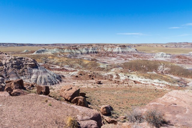 Landscape of Petrified Forest hills
