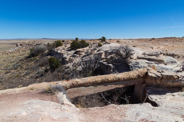 Petrified wood bridge