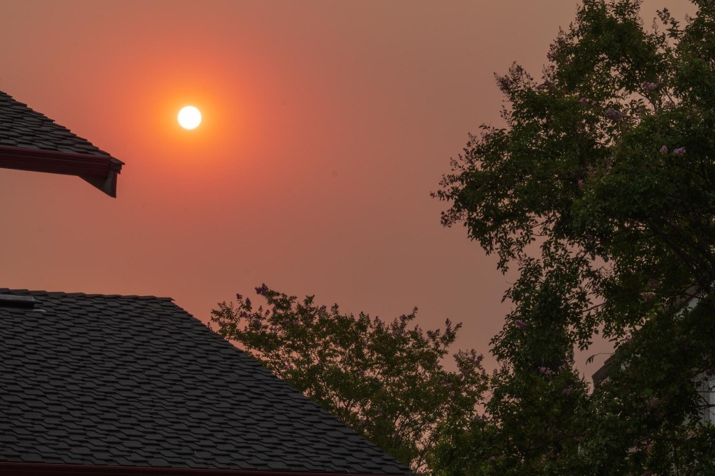 Red sky, sun rising, rooftops, trees