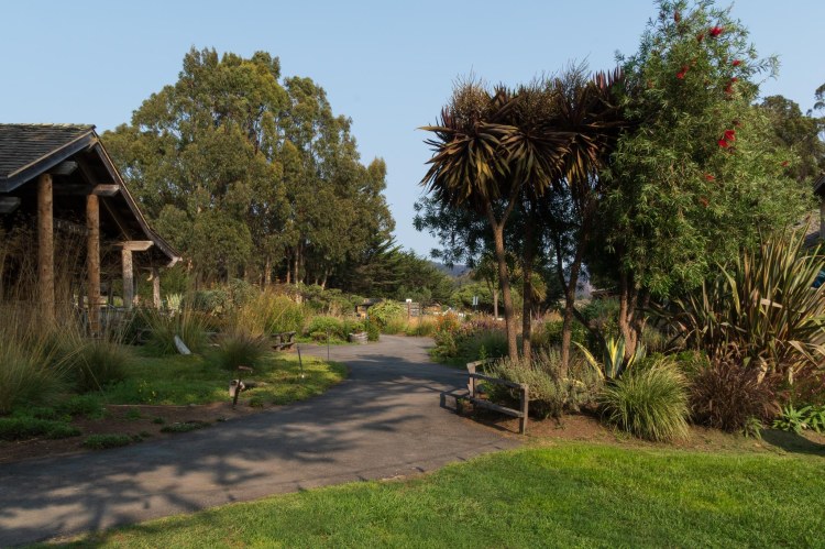 Path meanders between a wooden building and trees and grass