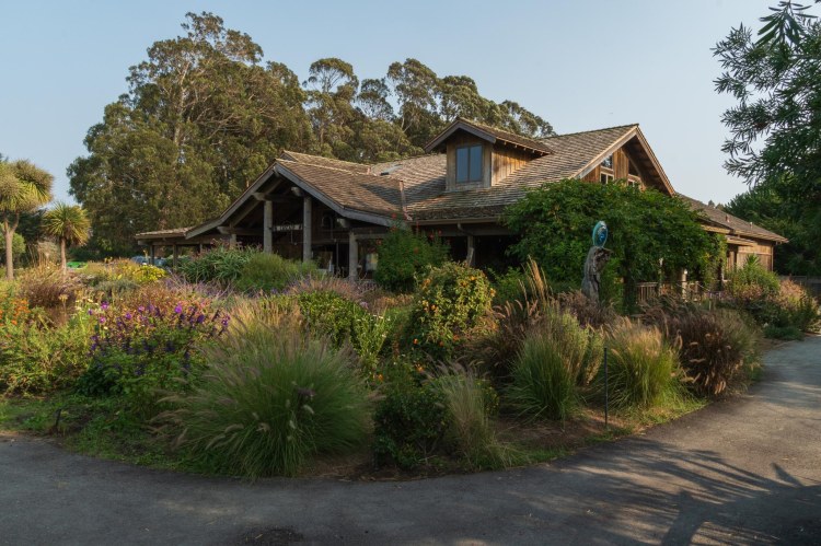 Wooden building with vegetation in the foreground