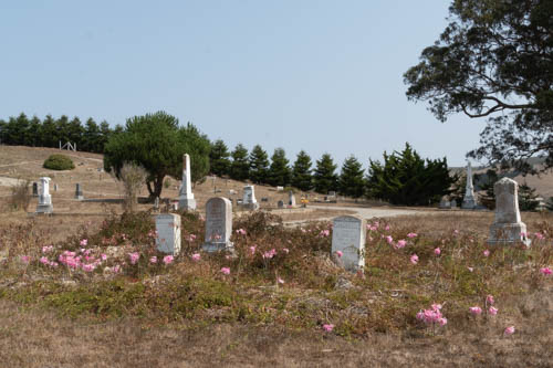 Trees, lillies, and headstones in a cemetery