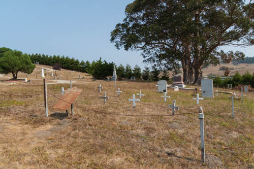 Tree, crosses, and headstones in cemetery