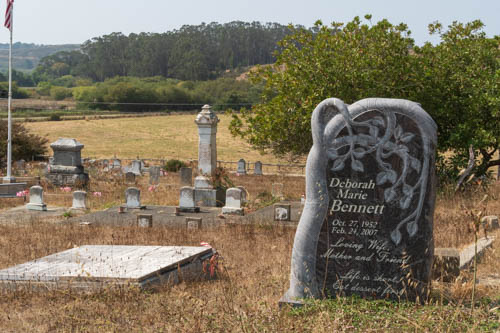 Headstones in a cemetery