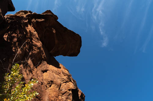 Horse head rock formation