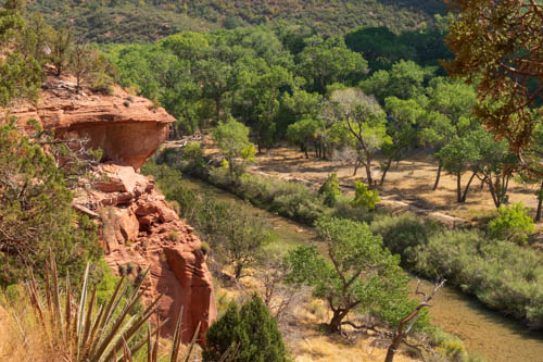 Trees, canyon cliffs, and Virgin River