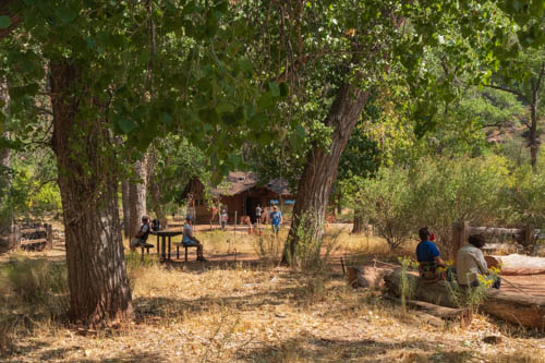 Trees, grass, picnic tables, and building