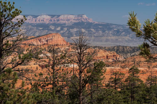 View of Shipwreck Rock formation, pine trees and cliffs in the background