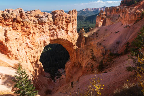 Arch in a rock wall formation named Natural Bridge.