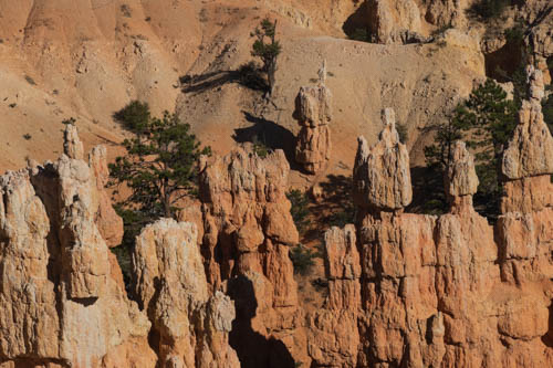 Various rock formations in Fairyland in Bryce Canyon National Park