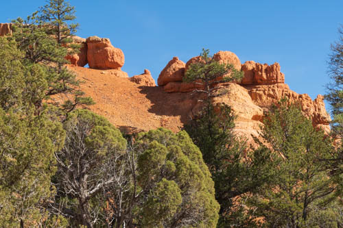 Pine trees, rock formations, and blue sky