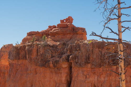 Rock formations, rock arch, and dead looking tree
