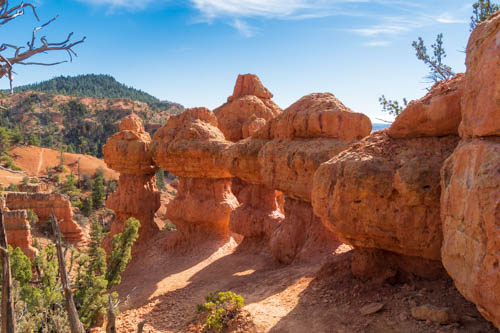 Bulbous red rock formations