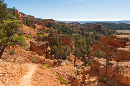 Red rock formations, trail, pine trees, and landscape view in background