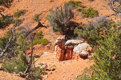 Hoodoo that looks like a camel laying down