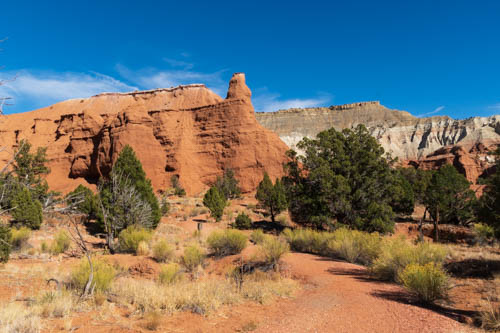 Trail, red rock and tan and white rock formations, and shrubs