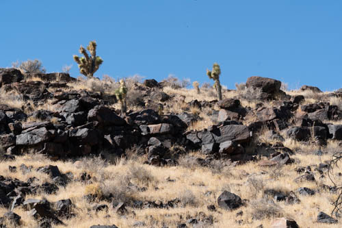 Lava rock hill covered with dry grass and yucca plants