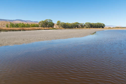 Lower Lake of Pahranagat NWR with row of trees and yellowed grass