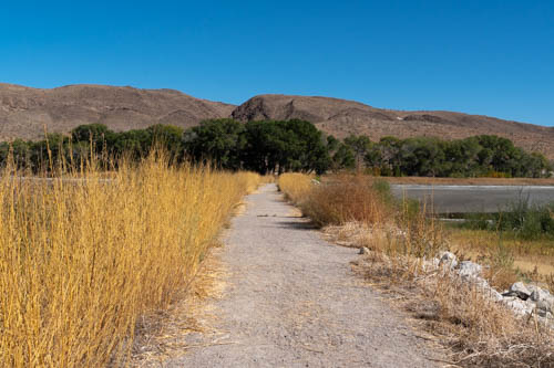 Trail on the top of a dike, bunch of trees and brown hills.