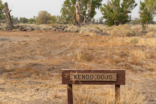 Kendo Dojo sign, cut yellow shrubs, and trees in the background.