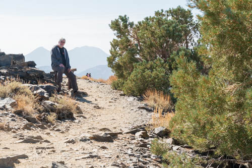 Man sitting on bench next to a rocky trail and bushes
