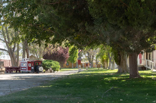 Pathway next to tall trees and kids train ride