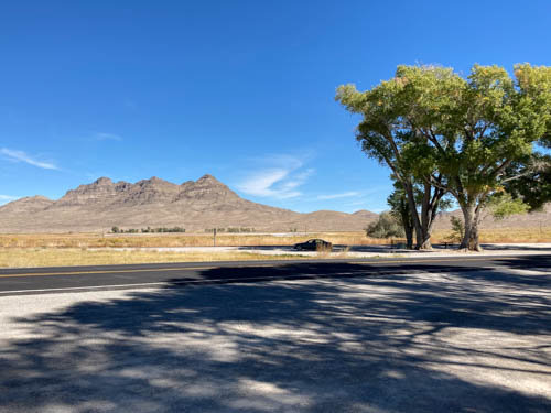 Road, two tall trees, blue sky, and hills
