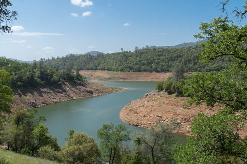 Blue skies, forest of trees, S-curve river