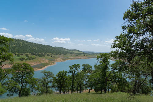 Grass and trees in the foreground, blue lake, and blue skies with puffy white clouds