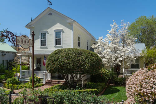 Yellow 1800s style home amid flowering trees and bushes