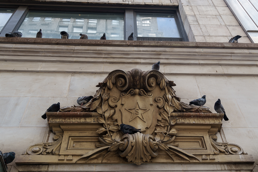 A decorative architectural feature adorned with an emblem and surrounded by pigeons perched on and around it, set against a building facade with windows above.
